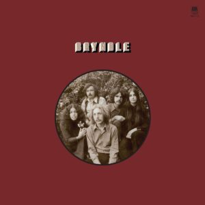 BRYNDLE (LP)