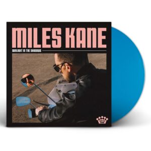 Sunlight In The Shadows[Blue Skies LP]