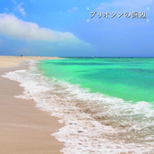 Beach of the Pliocene