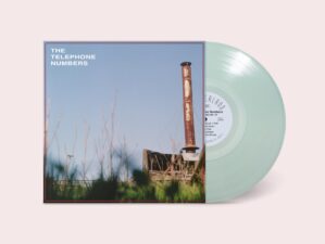 Scarecrow II (TRANSPARENT GREENHOUSE VINYL)