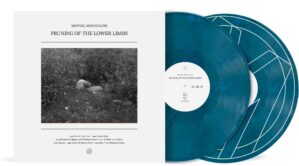 Pruning of the Lower Limbs – Atlantic Blue