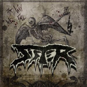 The Way We Fall[Bone LP]