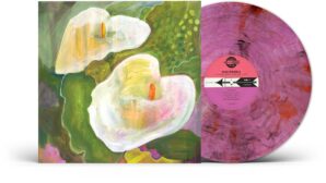 Making Room for the Light – Pink