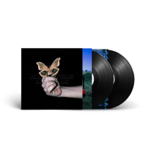 ALL SYSTEMS ARE LYING[2 LP]
