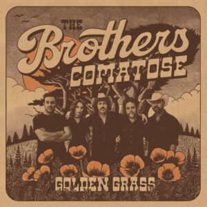 Golden Grass – Splattered Orange & Blue