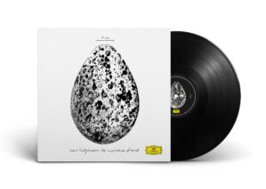 The Importance of Birds[12″ EP]