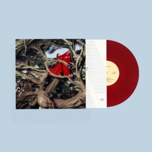 Nested in Tangles (RUBY RED VINYL)