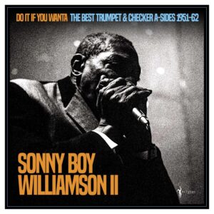 Do It If You Wanta: The Best Trumpet & Checker A-sides 1951-62