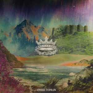 The King Is Still The King[2 LP]
