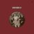 BRYNDLE (LP)
