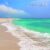 Beach of the Pliocene