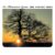 The Sunset Tree 20th Anniversary Remaster (APRICOT VINYL)