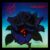 Black Rose – A Rock Legend (Clear Blue Anniversary Vinyl/Limited Edition