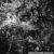 Amalgamated Anguish