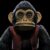 The Monkey